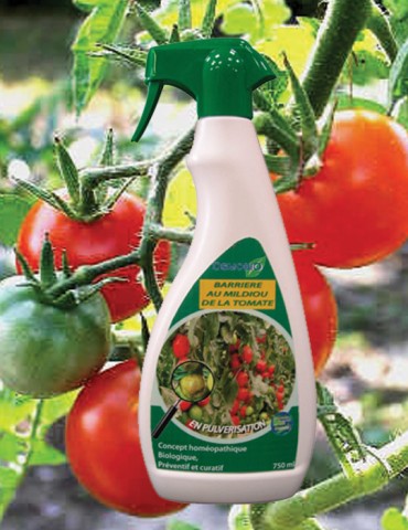 BARRIERE MILDIOU DE LA TOMATE et POMME DE TERRE