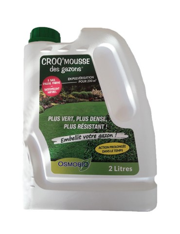 CROQ'MOUSSE ANTI-MOUSSE des gazons