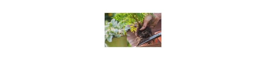 Produits jardin